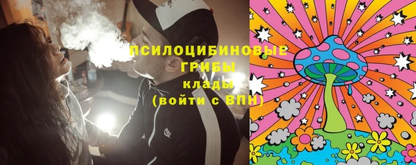 шишки Алзамай