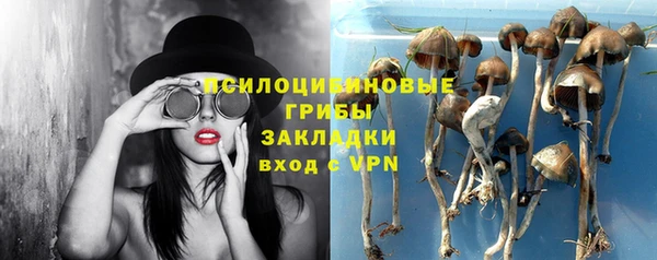 шишки Алзамай